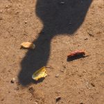 P1017130
