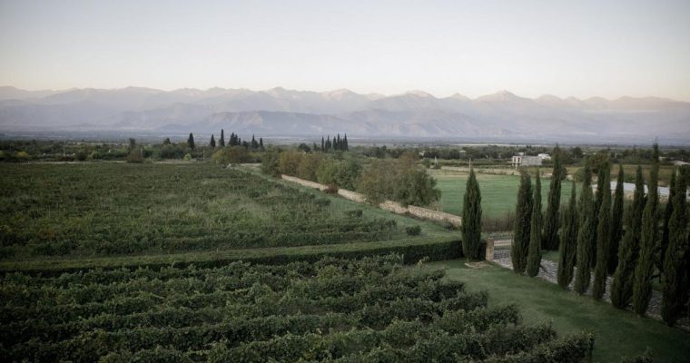 In the Old World wine region of Georgia, I found a fascinating new generation of vintners – Toronto Star