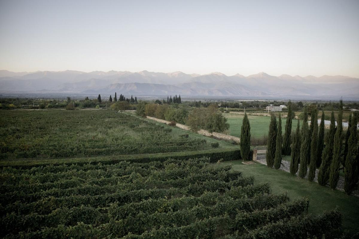 In the Old World wine region of Georgia, I found a fascinating new generation of vintners – Toronto Star
